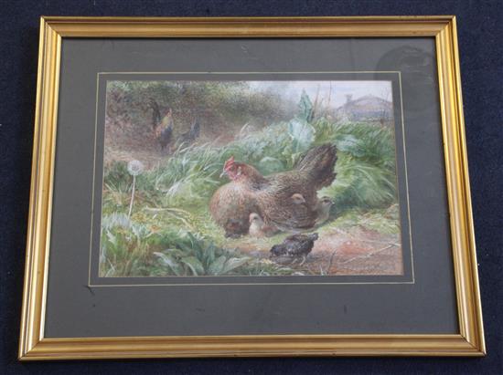 George Hickin (fl.1858-1877) Chickens in a field 23 x 33cm